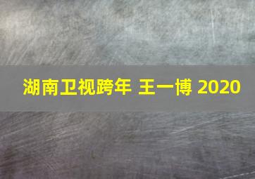 湖南卫视跨年 王一博 2020